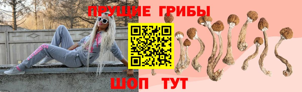 Знаменск  Псилоцибиновые грибы Magic Shrooms  купить наркотик  Вход с VPN 